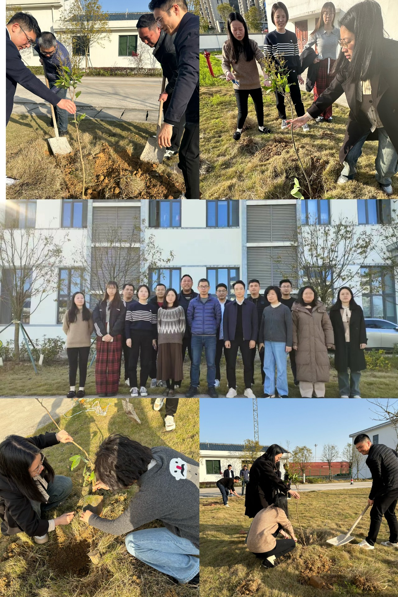 2024-3-12綠色陸港，美麗寧德，阮克妙拍攝.jpg